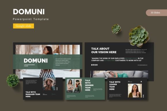 Domuni: Crafting Polished Presentations with Ease